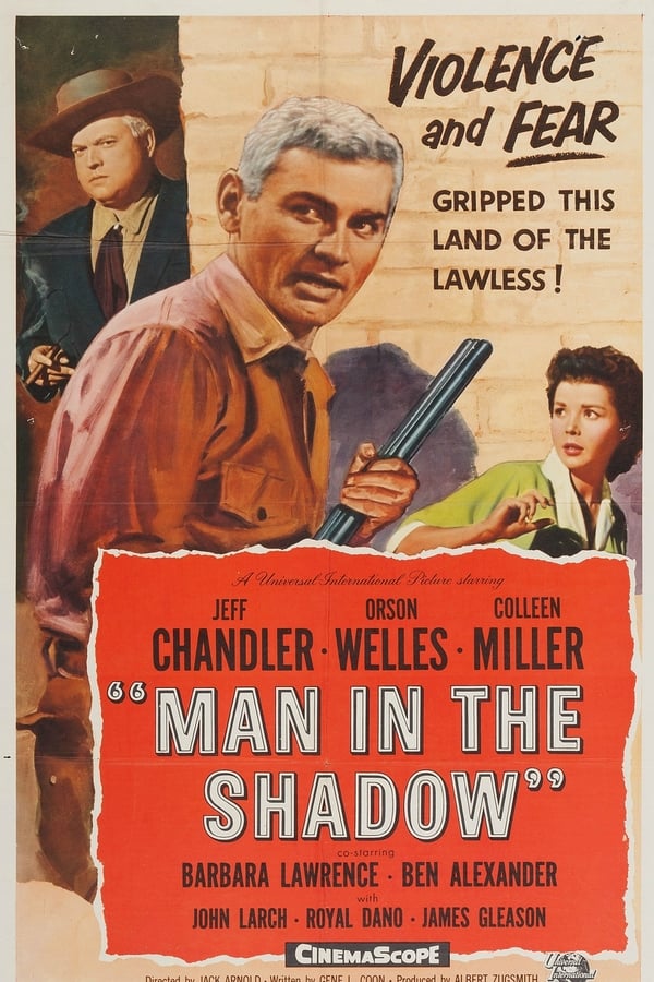Man in the Shadow