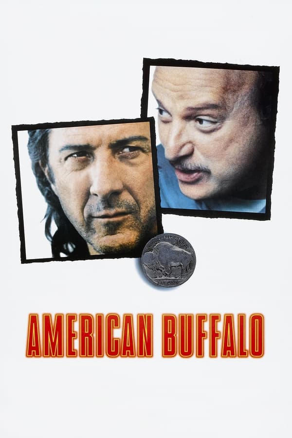 Amerikan Sığırı