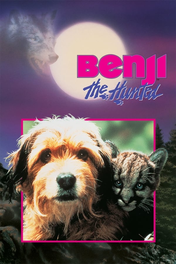 Av Köpeği Benji