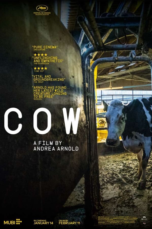 Cow izle